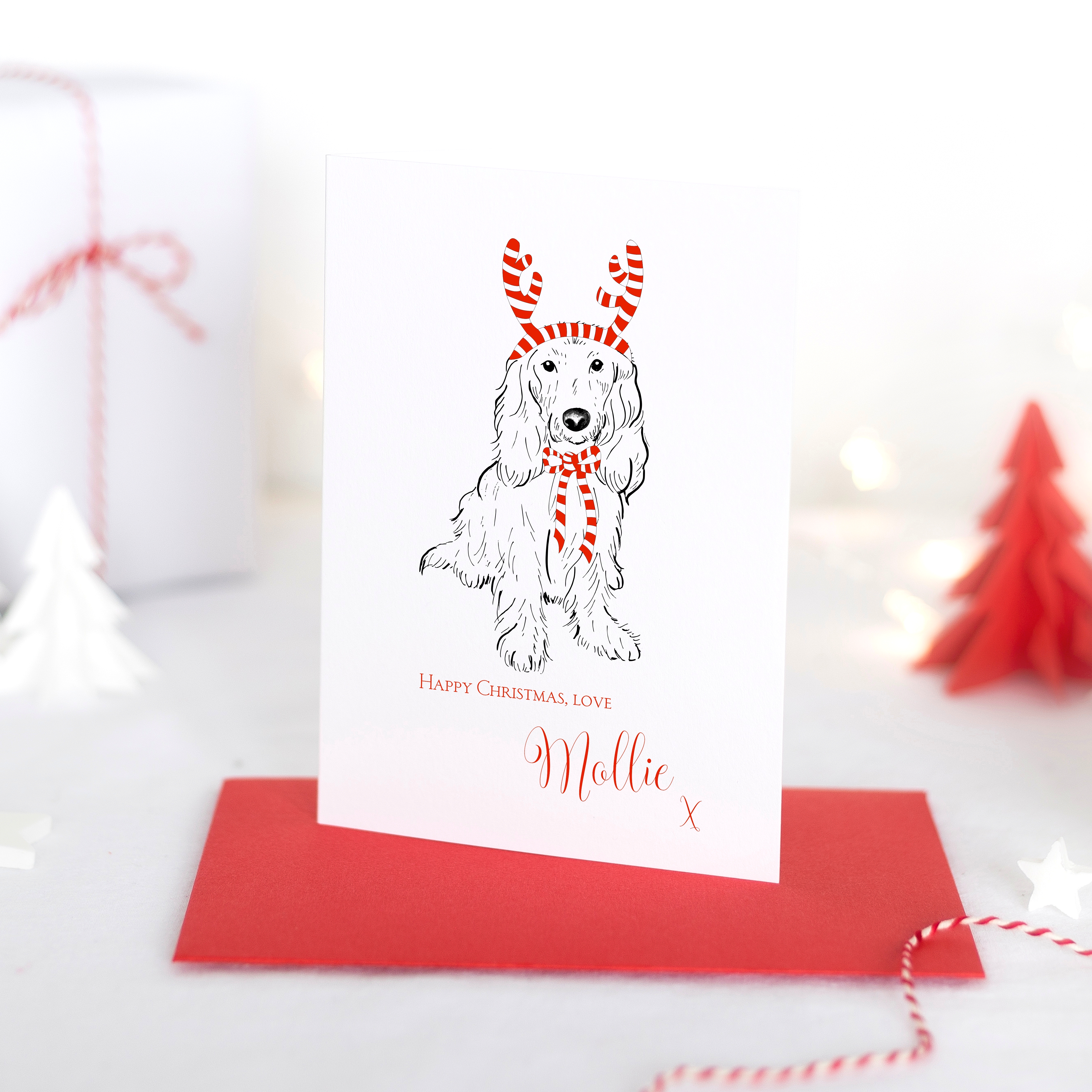partypooch_christmas-cards_photo_mollie_personalised-blog